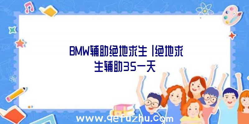 「BMW辅助绝地求生」|绝地求生辅助35一天